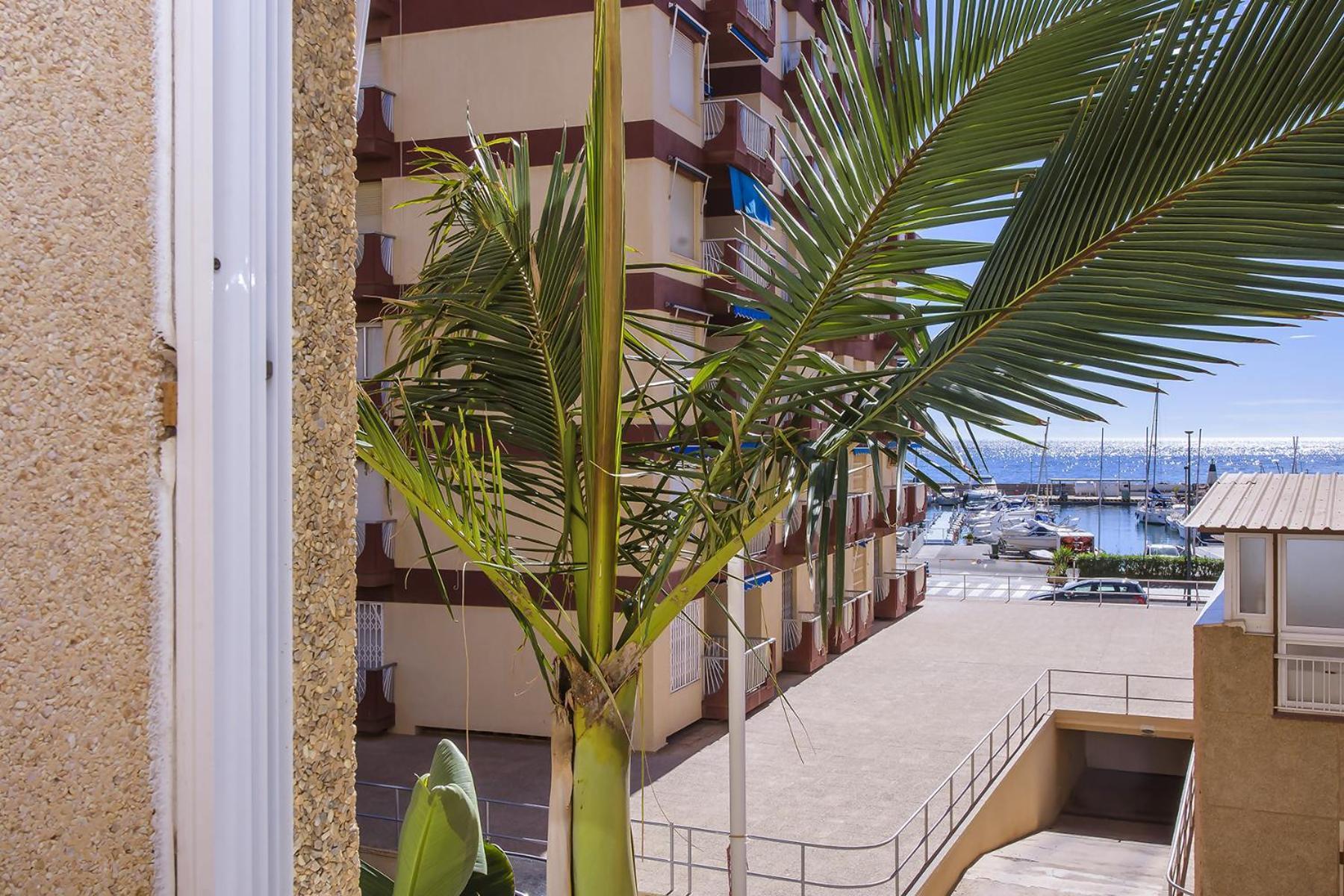 Aguilas Delicias Piscina Wifi Ac Parking Gratis Exterior foto