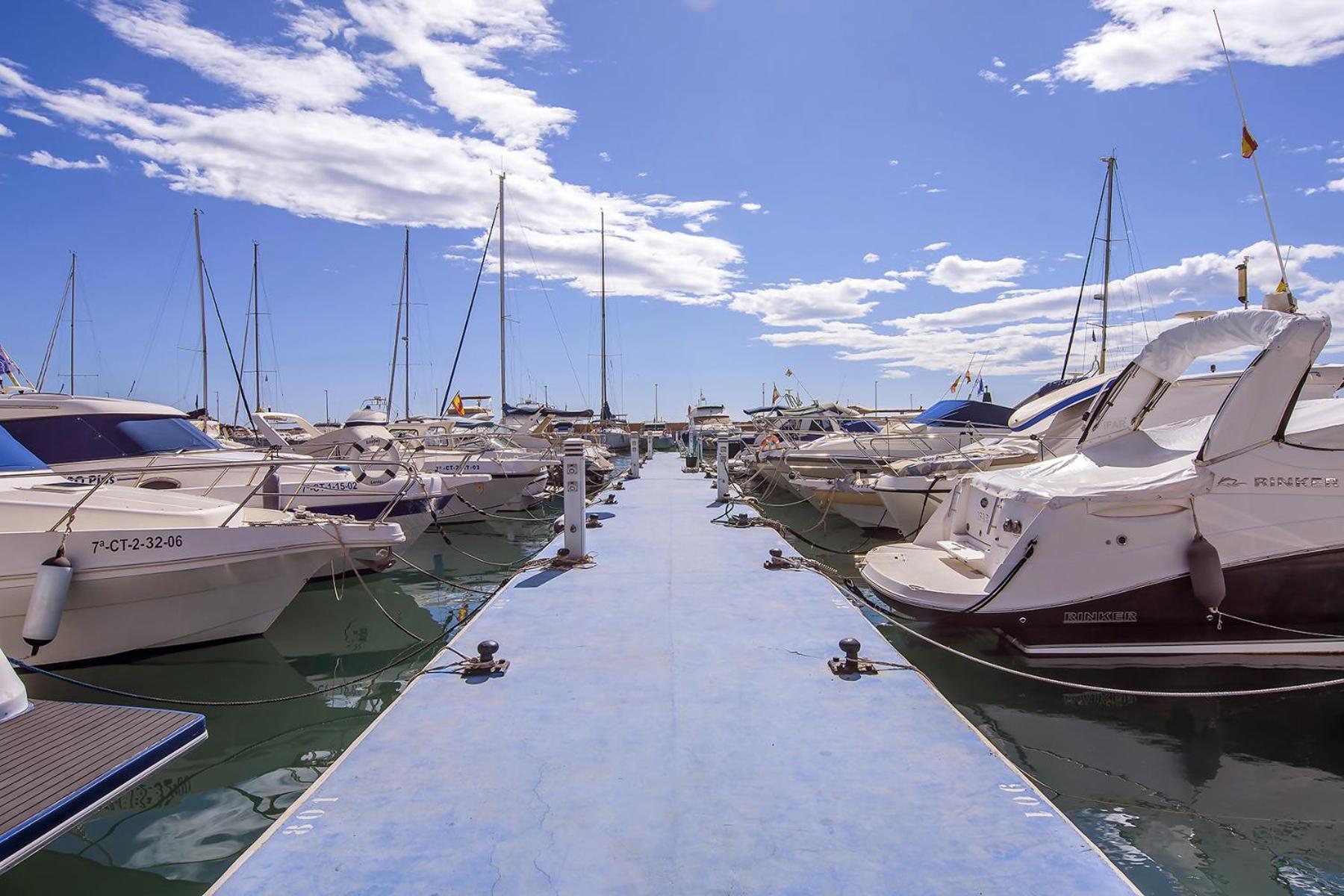 Aguilas Delicias Piscina Wifi Ac Parking Gratis Exterior foto